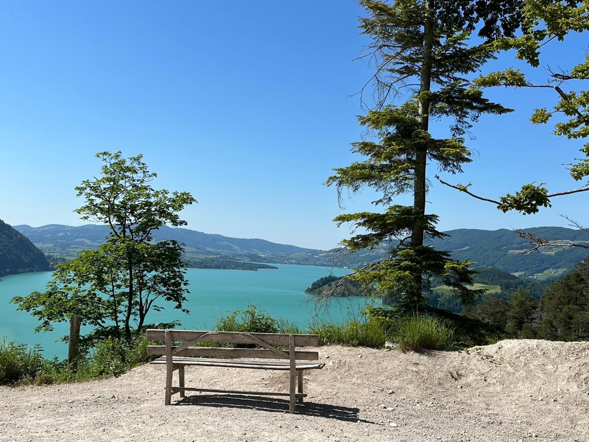 17Er Apartment Mit Sauna Und Privater Garage Mondsee Esterno foto