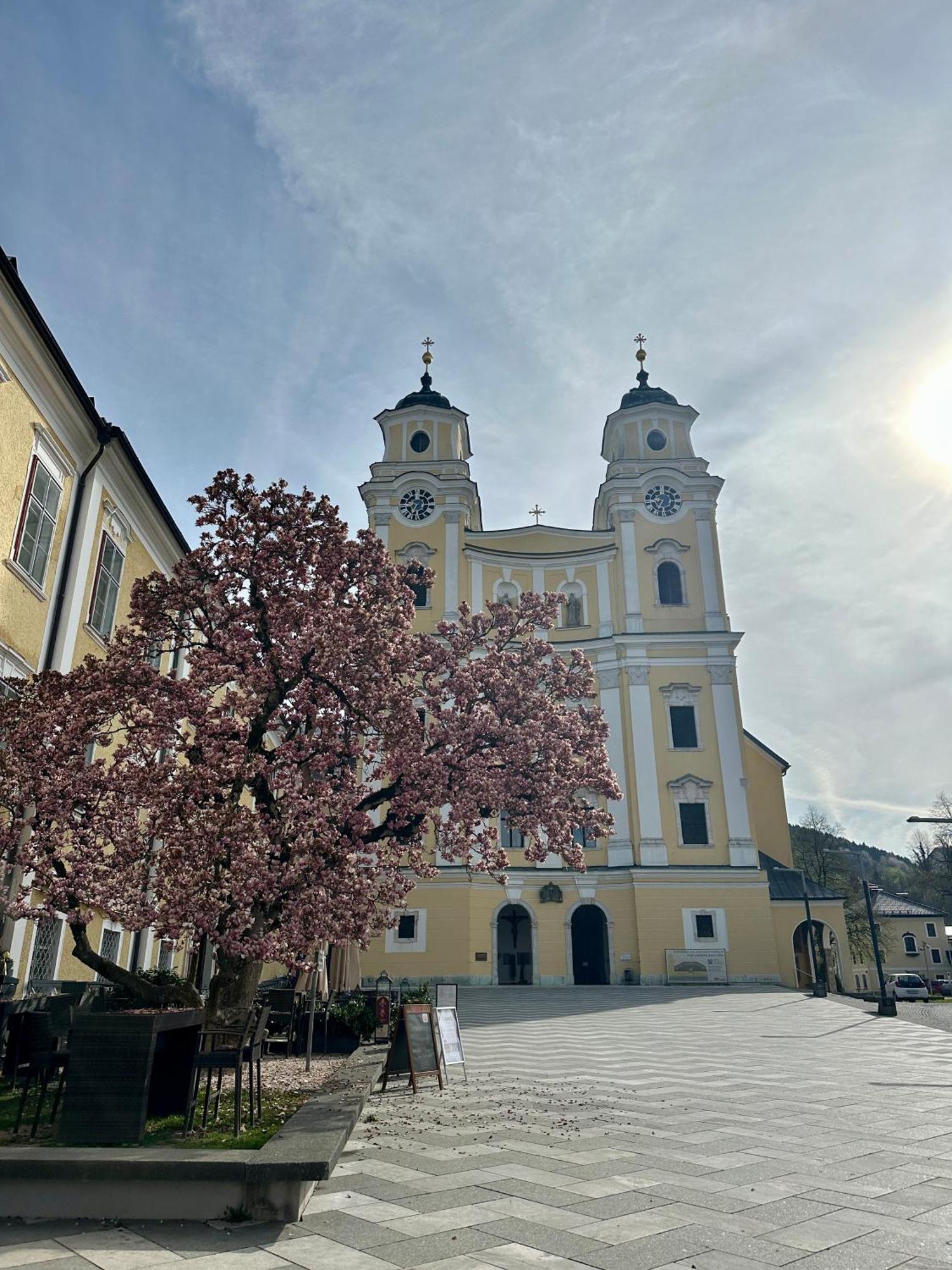 17Er Apartment Mit Sauna Und Privater Garage Mondsee Esterno foto